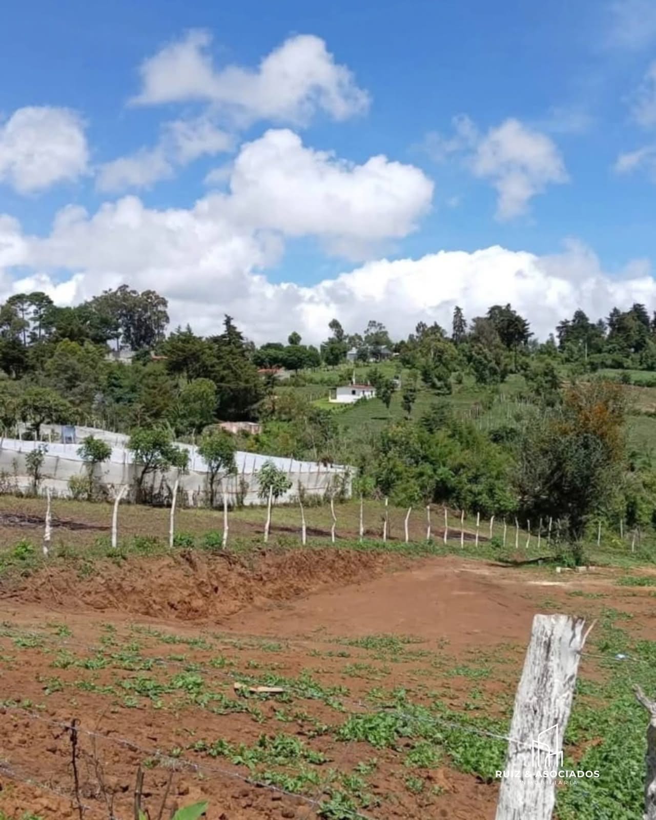š„š” Terreno en Remate | las Flores, Sumpango, SacatepĆ©quez ā foto 2 de 4