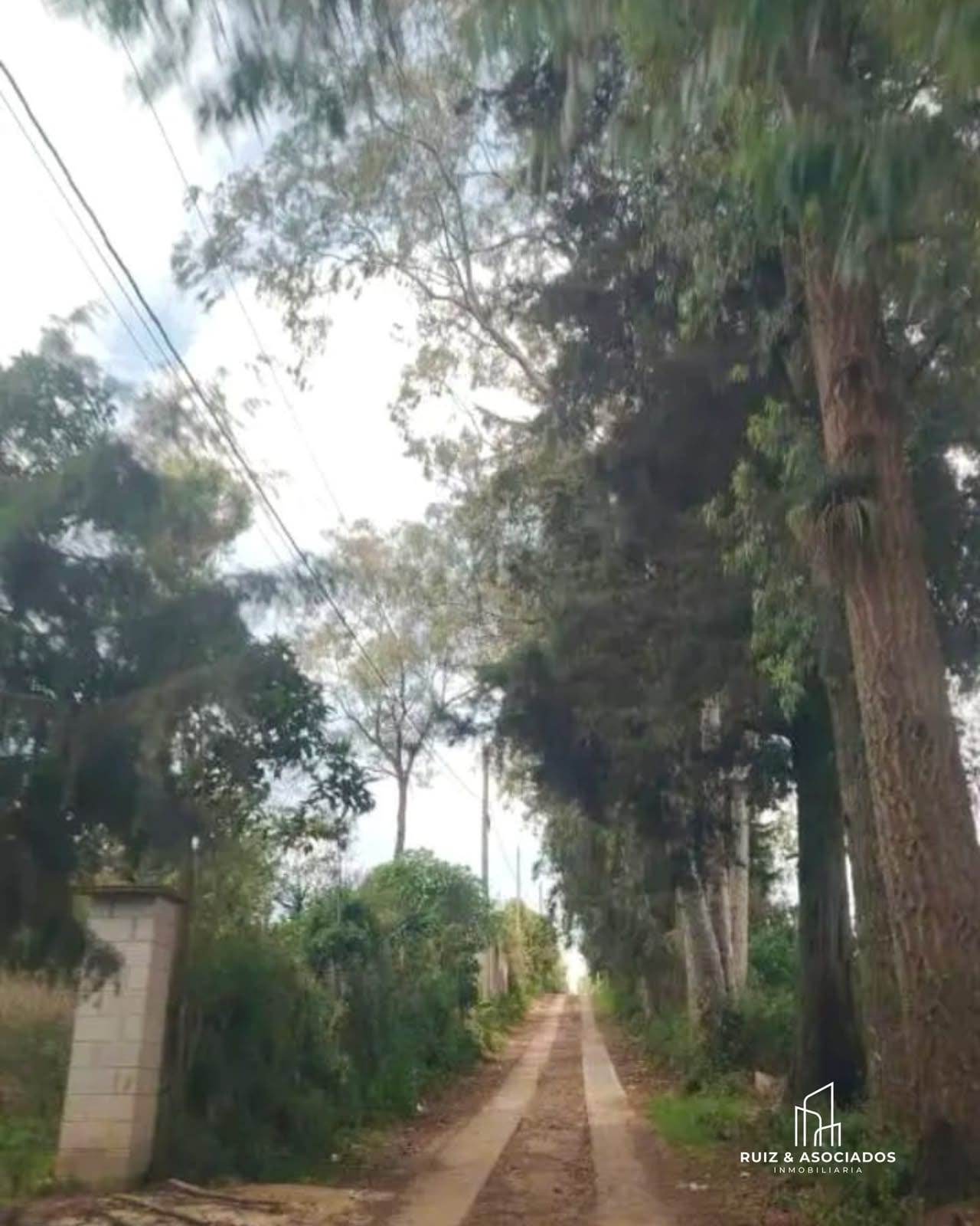 š„š” Terreno en Remate | las Flores, Sumpango, SacatepĆ©quez ā foto 3 de 4