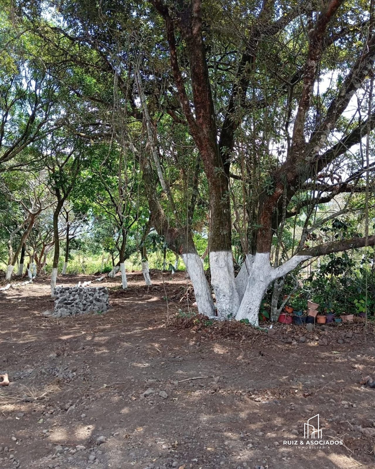 🏡 Terreno Rustico en Venta | Alotenango, Sacatepéquez — foto 4 de 4